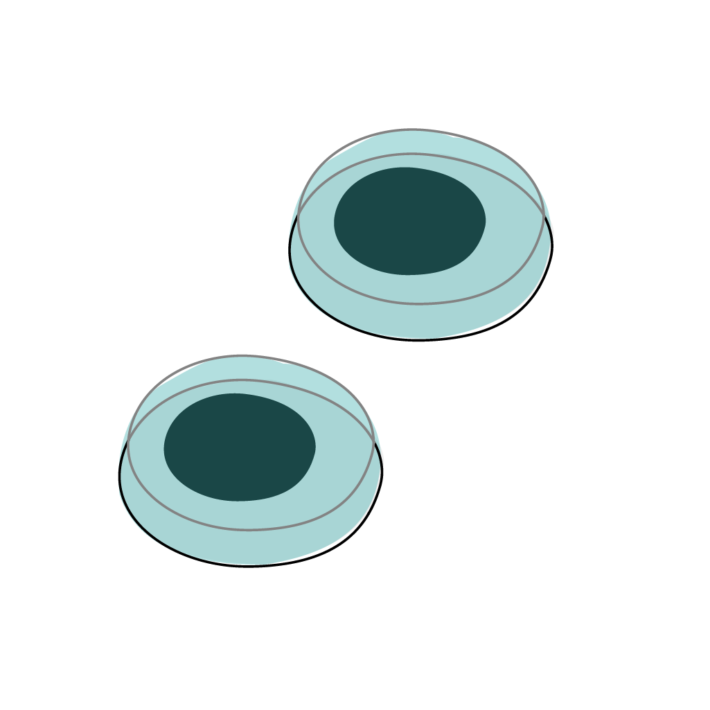 Omnibot Forklift - (Replacement Parts)