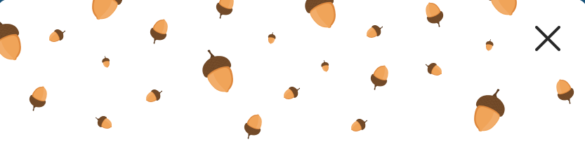 CrunchLabs